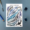 Whales of Britain Postcard | Conscious Craft